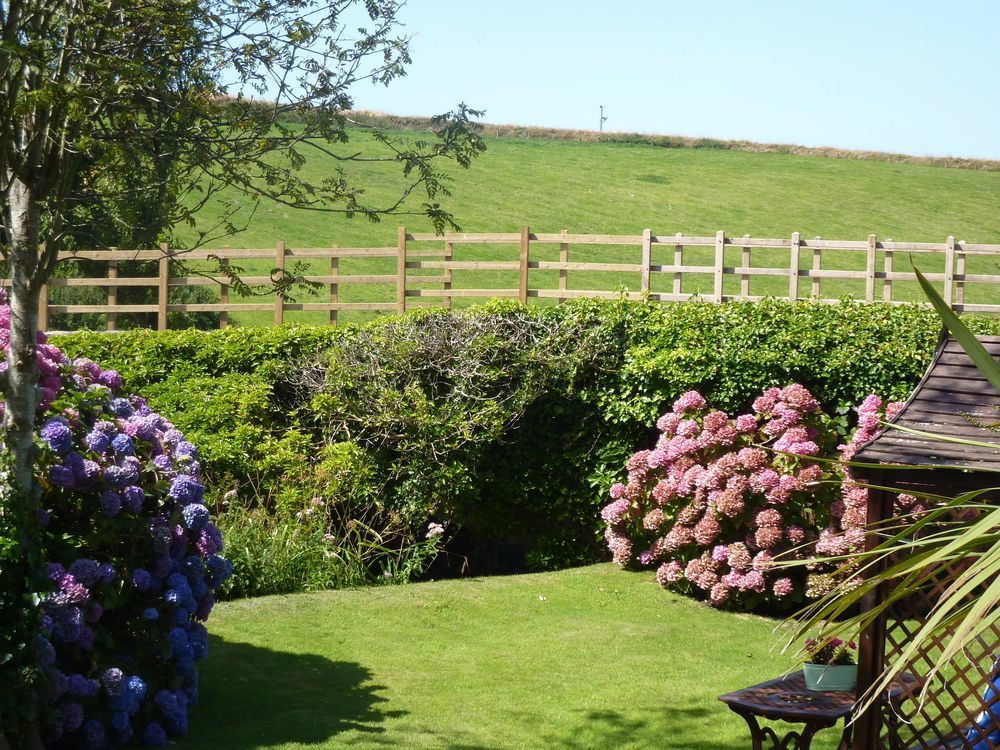 Yr Hen Felin - The Old Mill B&B Morfa Nefyn Exterior foto